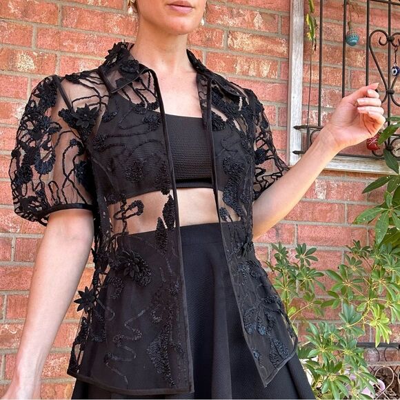 Vintage Tops - Black Sheer Mesh 3D Floral Embroidered Top Puff Sleeve Whimsigoth Witchy